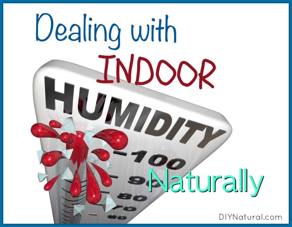 The Best Way to Control Indoor Humidity—and Your Energy Bills